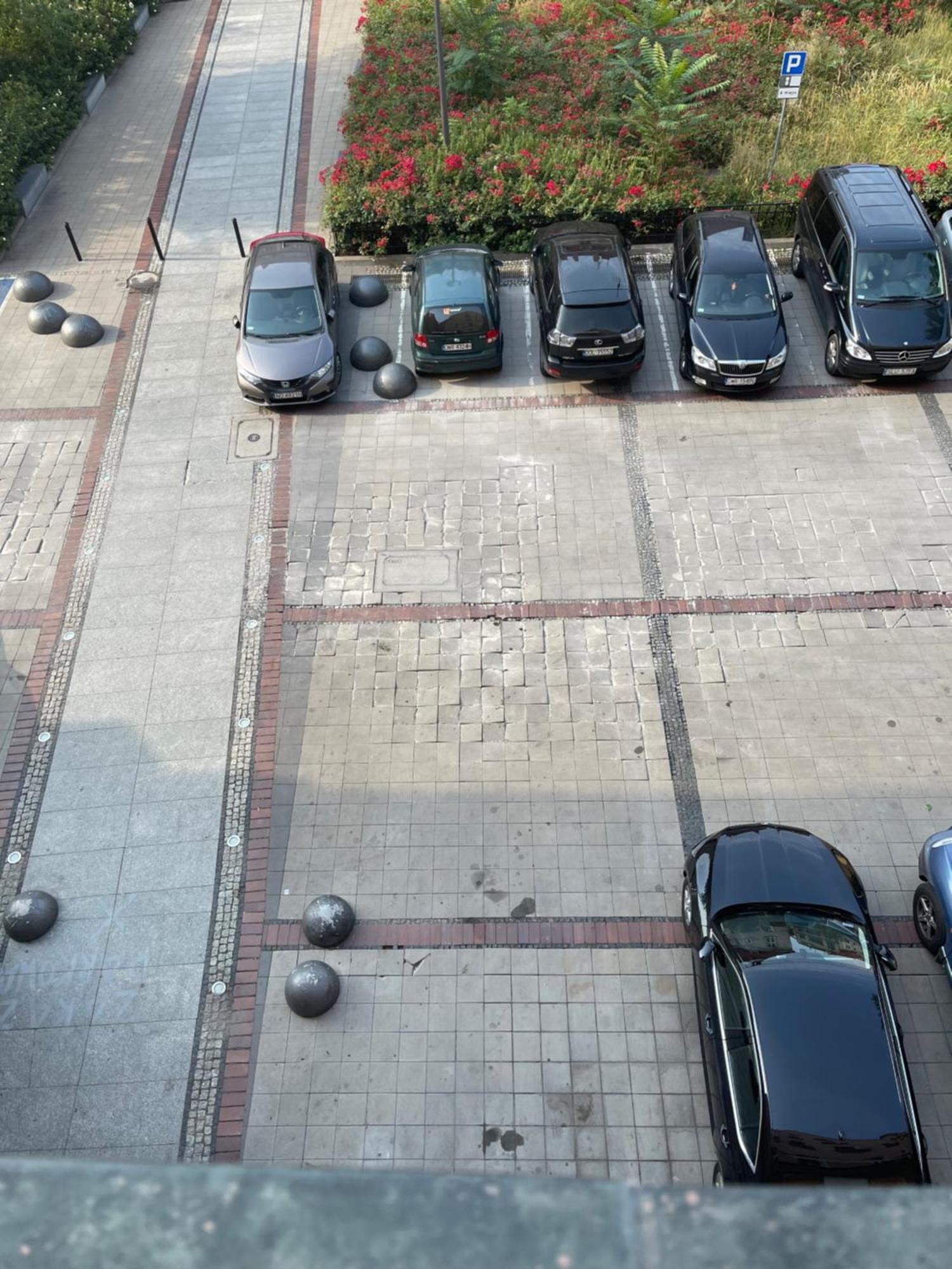 Appartamento Rynek Pod Fredra Breslavia Esterno foto